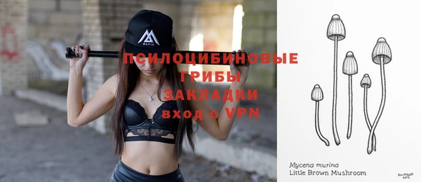 крисы Абинск