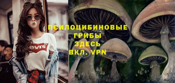 крисы Абинск