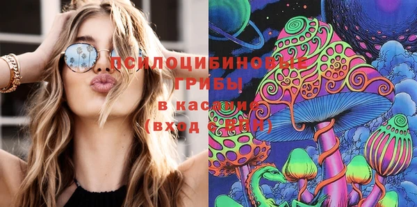 шишки Алзамай