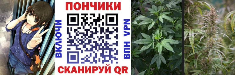 МАРИХУАНА Amnesia Брюховецкая